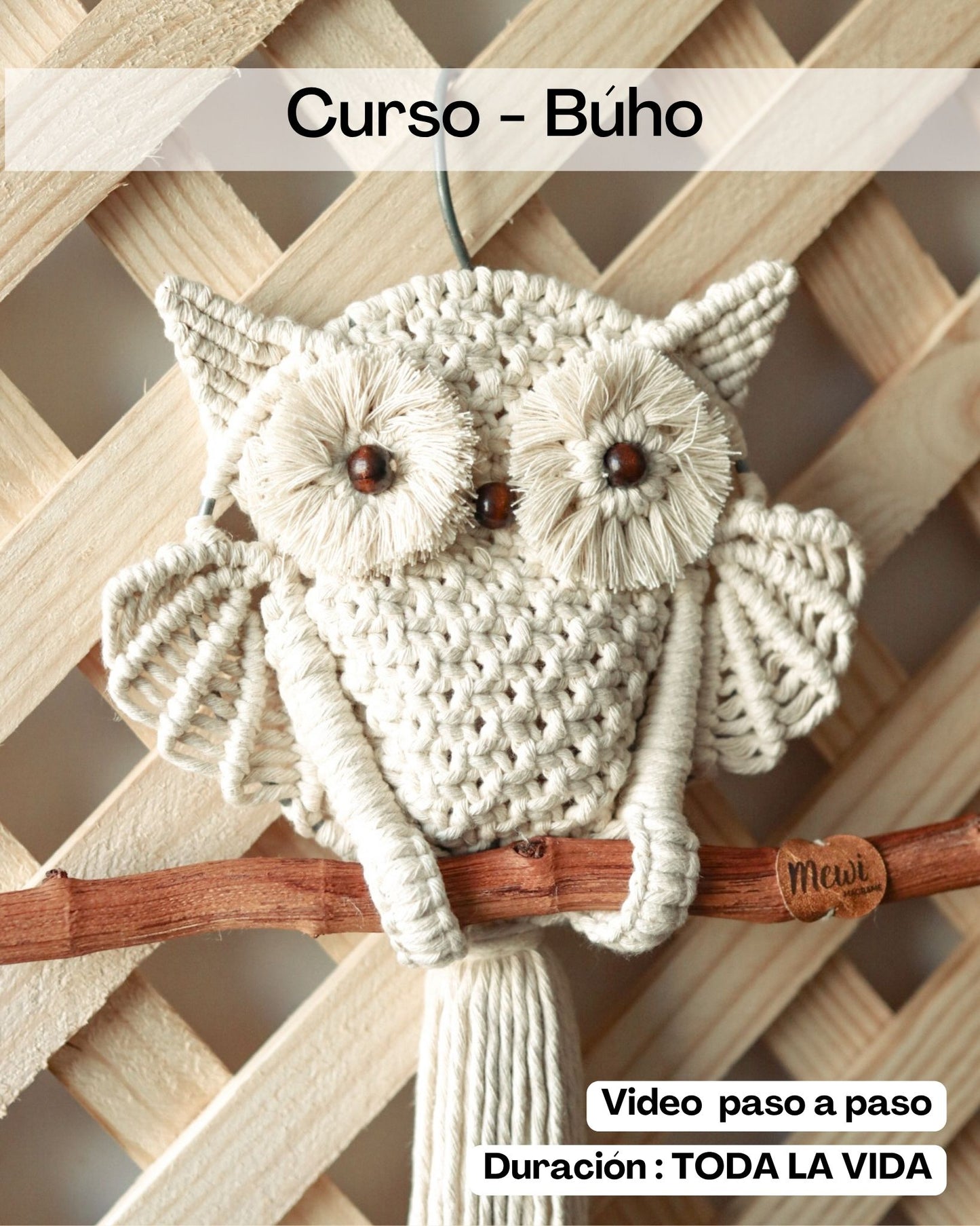Curso - Búho