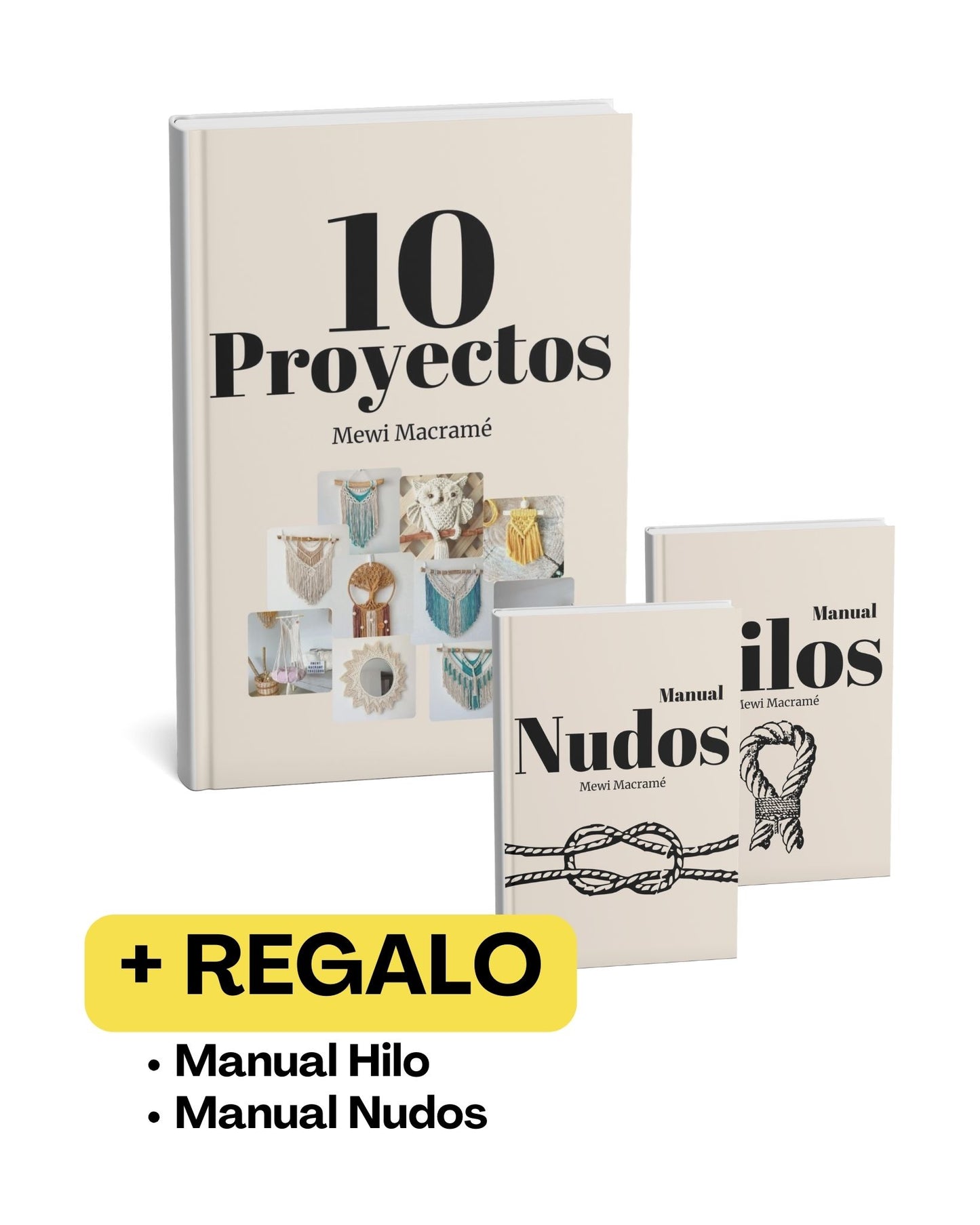 Libro - 10 Proyectos