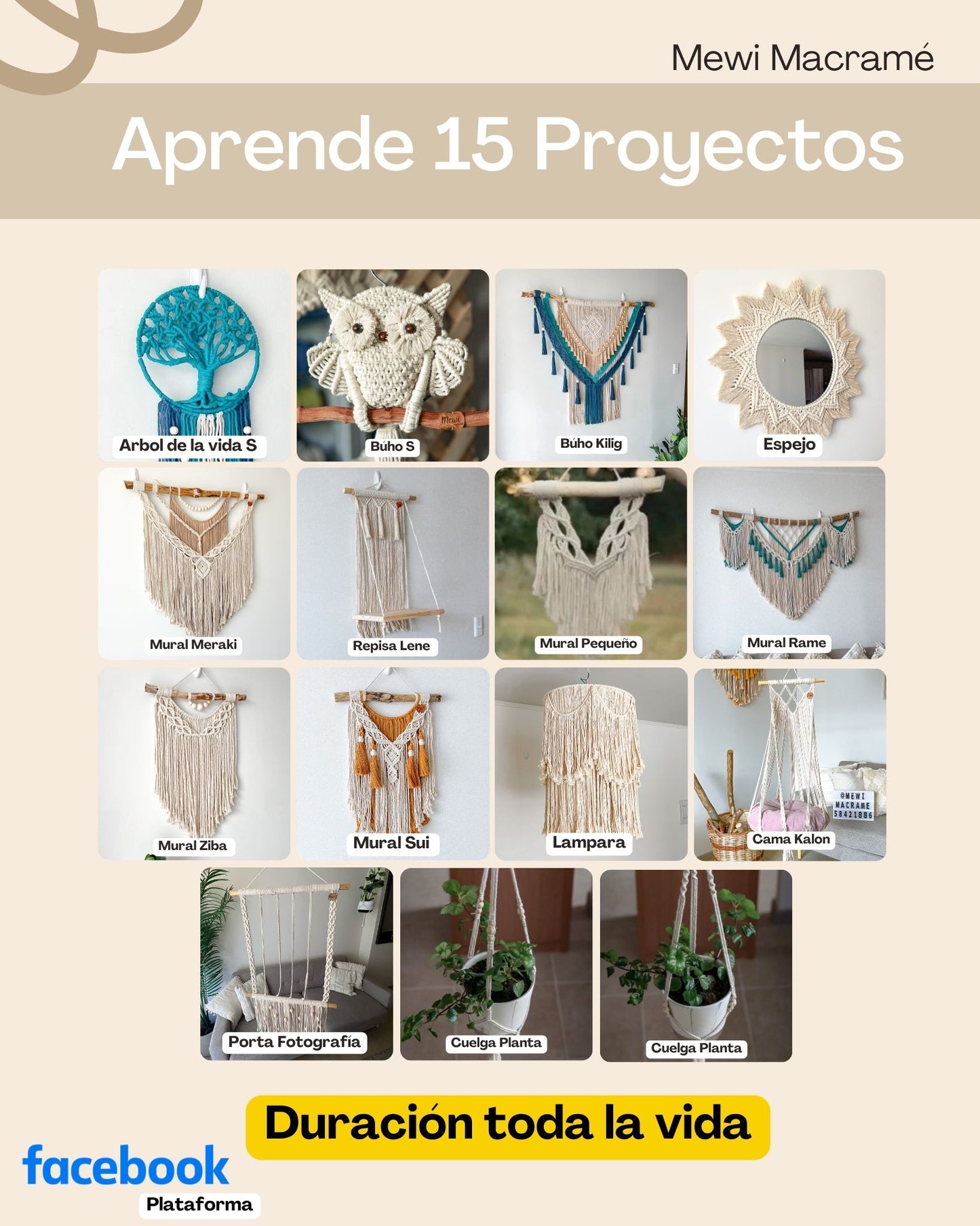 Curso - 15 Proyectos