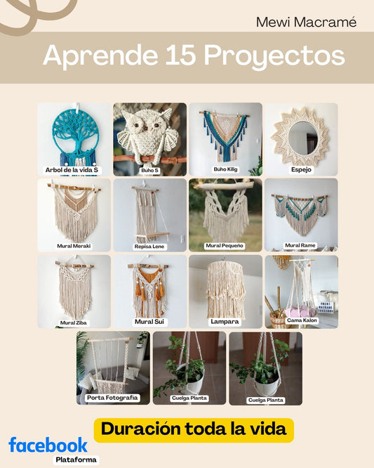 Curso - 15 Proyectos