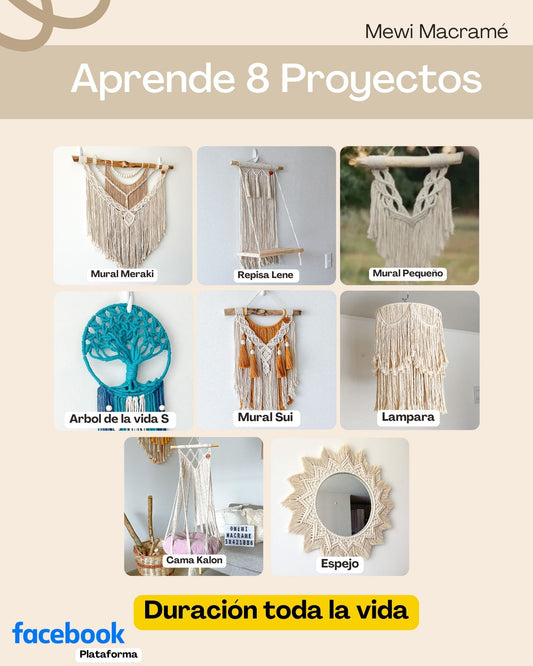 Curso - 8 Proyectos