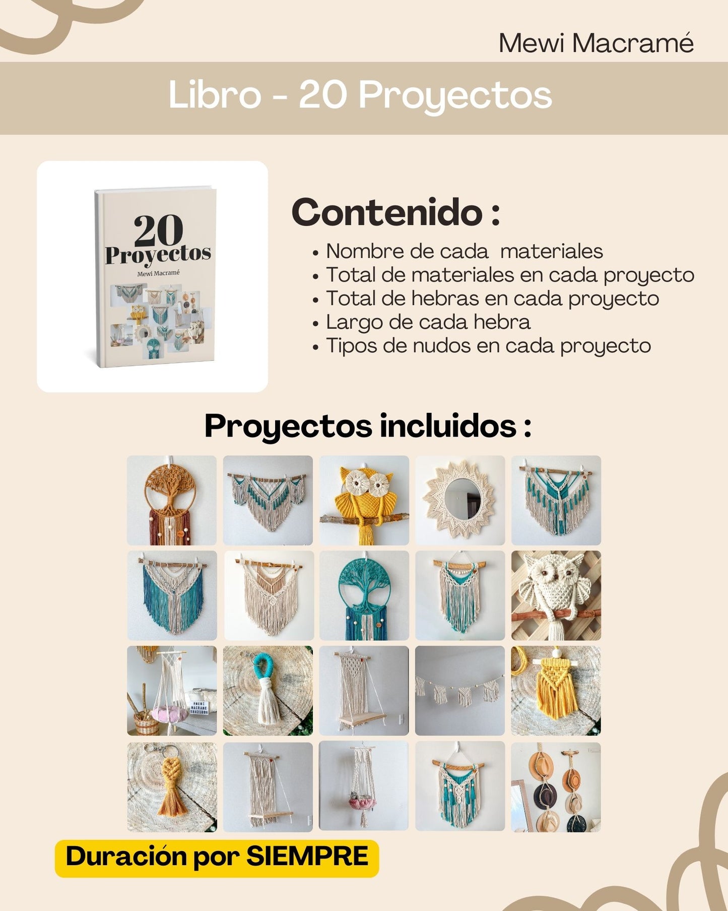 20 Proyectos