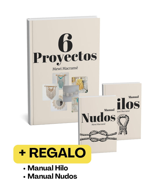 6 Proyectos