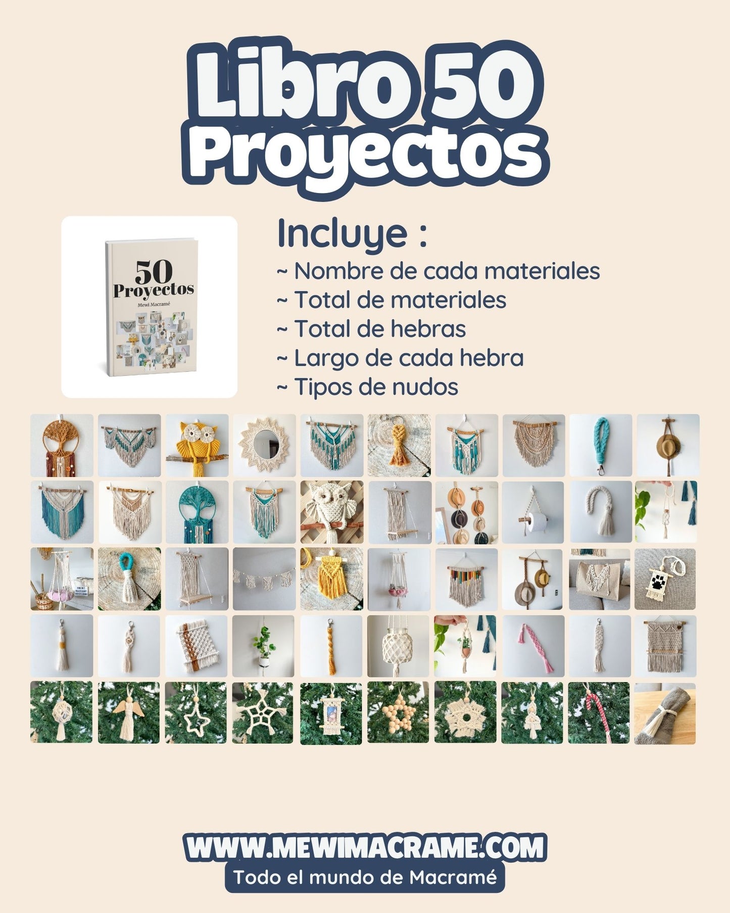 50 Proyectos