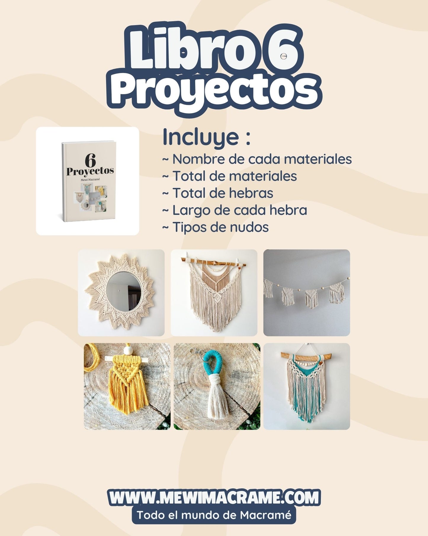 6 Proyectos