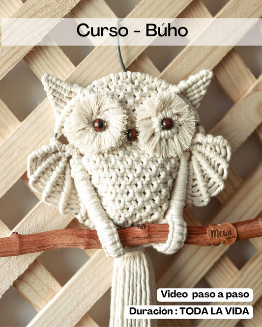 Curso - Búho