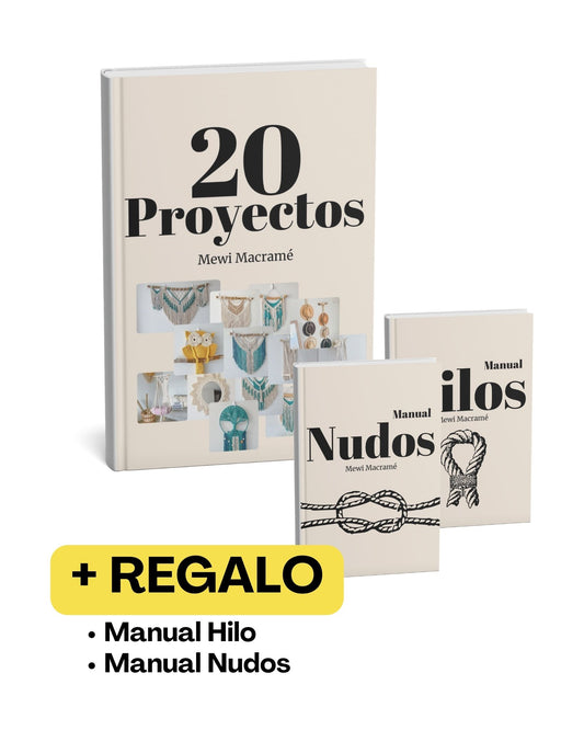 20 Proyectos