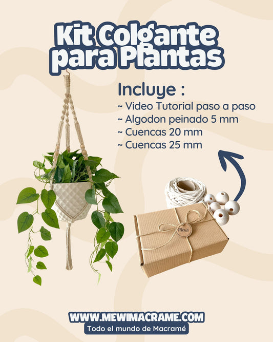 kit - Colgante para Planta
