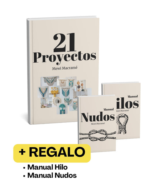 Libro - 21 Proyectos